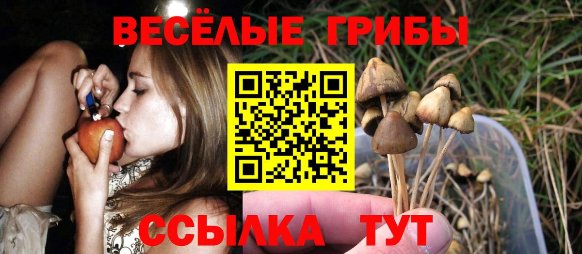 Галлюциногенные грибы ЛСД Озёрск