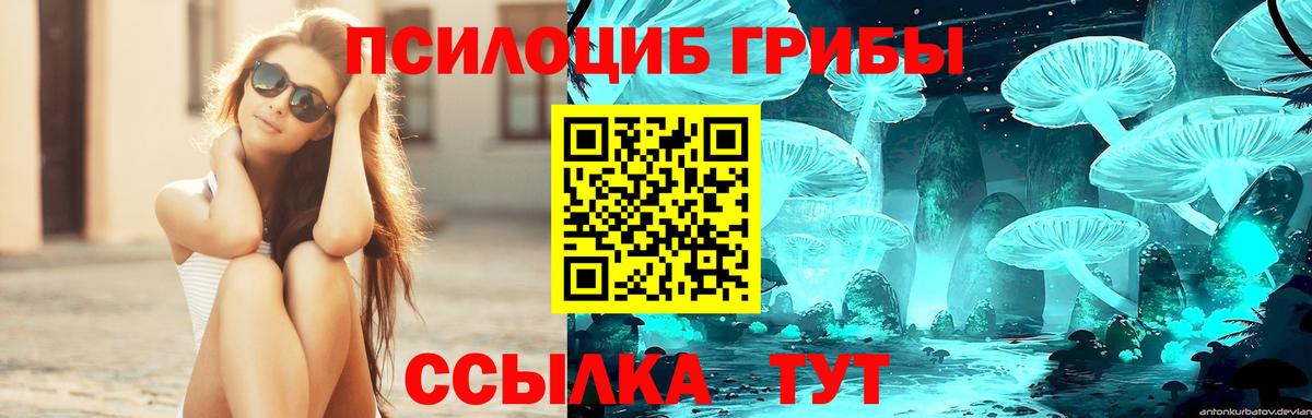 Галлюциногенные грибы ЛСД  Вход с VPN  Озёрск 