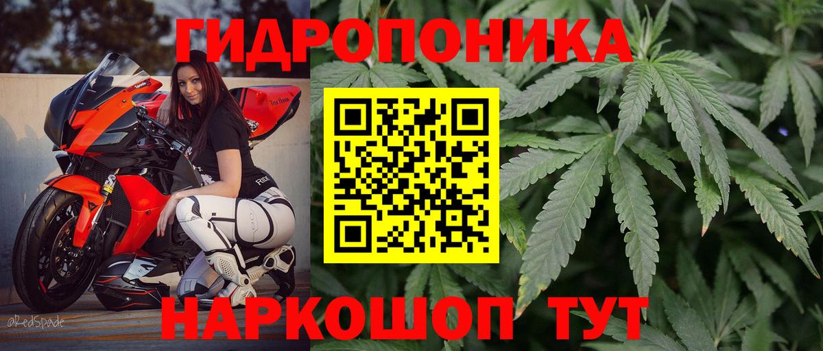 Озёрск  Конопля гибрид  Канабис сатива  Вход с VPN  Канабис сатива  Каннабис LSD WEED 